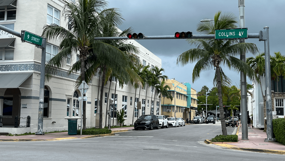 Florida’s Issue 3: Why It Didn’t Pass and What’s Next for Cannabis Legislation